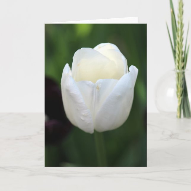 Cartão Notecard de Vazio "poderoso" (Frente)