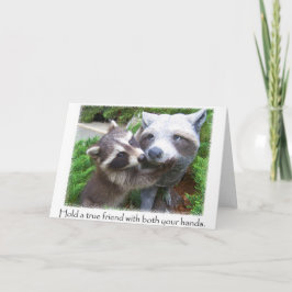 Cartão Notecard dos amigos do Raccoon