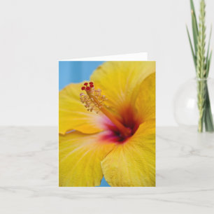 Cartão Notecard Flor de Hibisco Amarelo