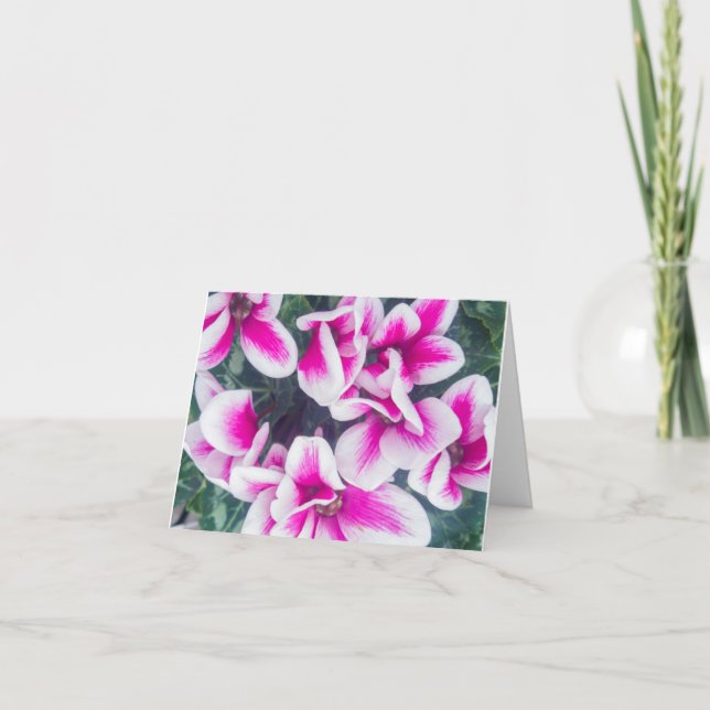 Cartão Notecard, Floral, Cor-de-rosa, (Frente)