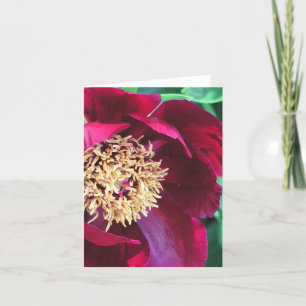 CARTÃO NOTECARD/FOTOGRAFIA/VAZIO "PESSOA COR PROFUNDA"