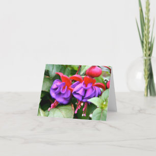 Cartão Notecard Fuschia