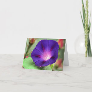Cartão Notecard - Glória da Manhã