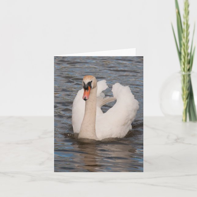 Cartão Notecard: 'Grace' Male Mute Swan (Frente)