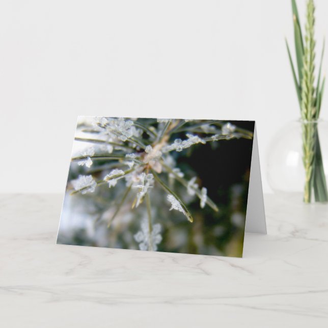 Cartão NOTECARD, Ice Crystals on Spruce Needles 1 (Frente)