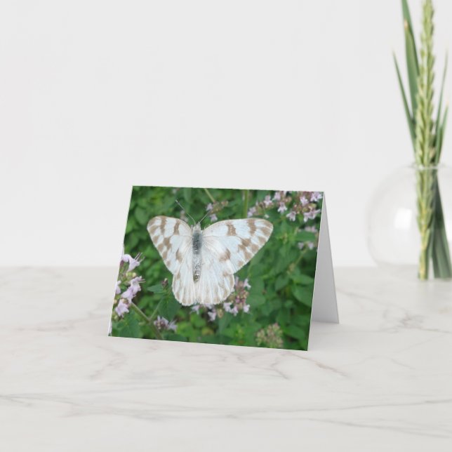 Cartão Notecard New Day Gardens - Branco controlado (Frente)