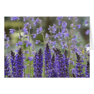 Cartão Notecard Paixão Roxo