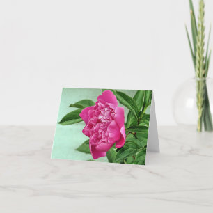 Cartão Notecard - Peony