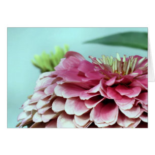 Cartão Notecard - Petals Zinnia