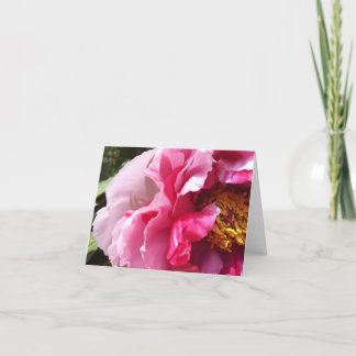 Cartão Notecard Pink Tree Peony