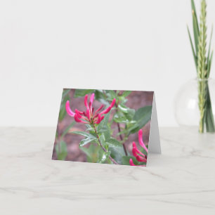 Cartão notecard pinkflower