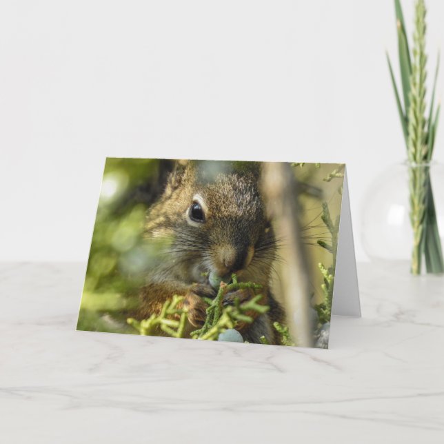Cartão Notecard Rock Squirrel (Frente)