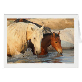 Cartão Notecard showing showing Wild Horses and her baby
