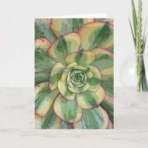 Cartão Notecard "Sunburst" de amônio