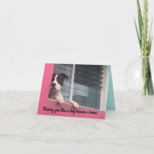 Cartão Notecard te perdendo como um cachorro