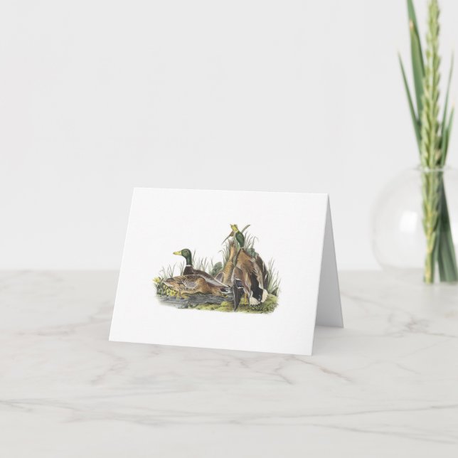 Cartão Notecard with Mallard Duck Nest (Frente)