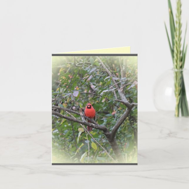 Cartão Notecard with Northern Cardinal (Frente)