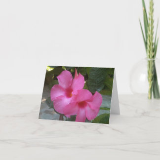 Cartão Notecard with pink flowers
