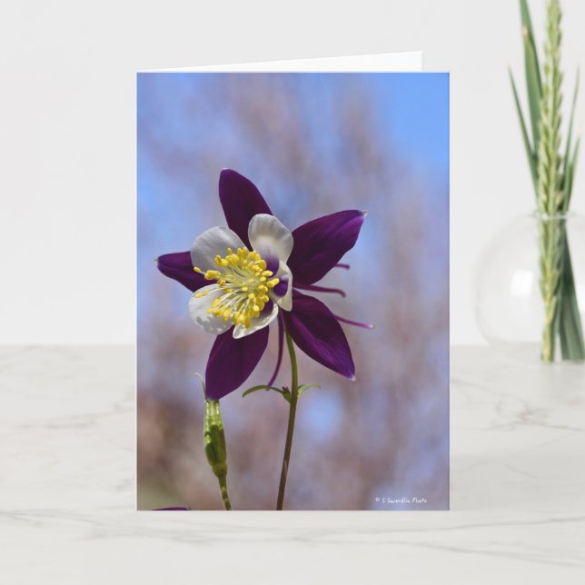 Cartão Notecard with Remembrance Columbine (Frente)