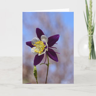 Cartão Notecard with Remembrance Columbine