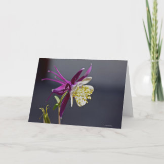 Cartão Notecard with Remembrence Columbine Flower
