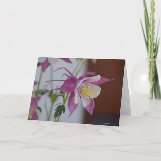 Cartão Notecard with Songbird Columbine