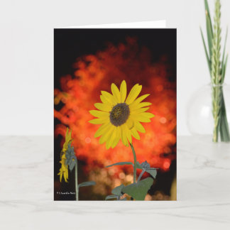 Cartão Notecard with Sunflower