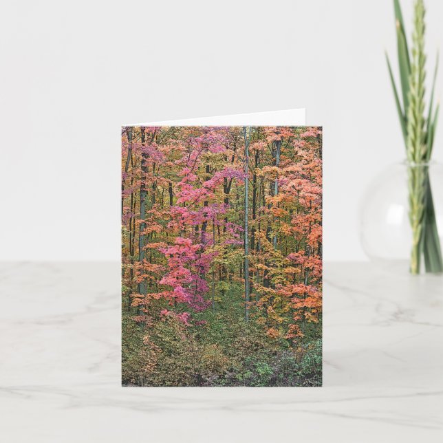 CARTÃO NOTECARD "WOODS IN OUTUMN" (Frente)