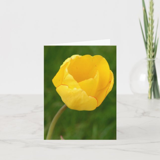 Cartão Notecard Yellow Tulip (Frente)