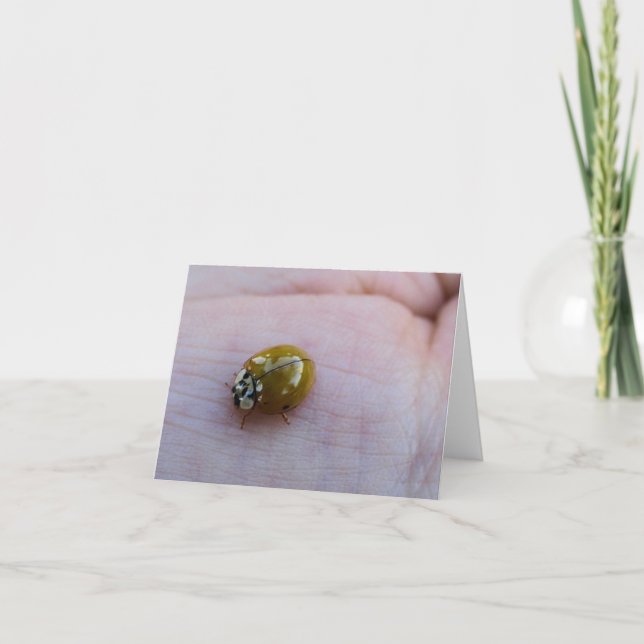 Cartão Notecards com boa sorte (Frente)
