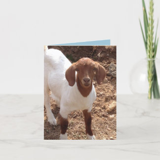 Cartão Notecards do divertimento