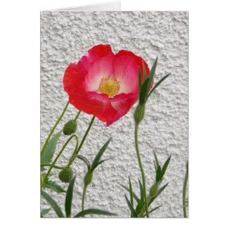 Cartão Notelet da papoila