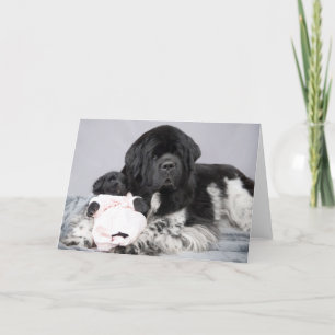 Cartão Notta Bear Welcome Card