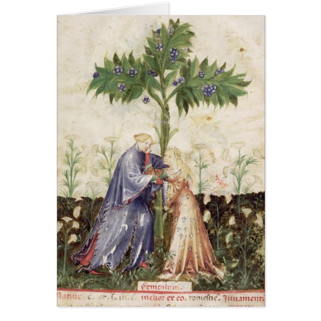 Cartão Nouv Acq LatFennel, 'de Tacuinum Sanitatis (Frente)