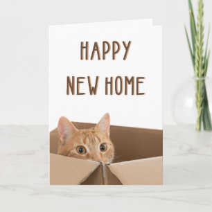 Cartão Nova Casa, Casa engraçada do gato, Aquecimento da 