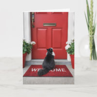 Nova Casa com Gato em um Tapete de Boas-Vindas Ver