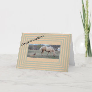 Cartão Nova chegada