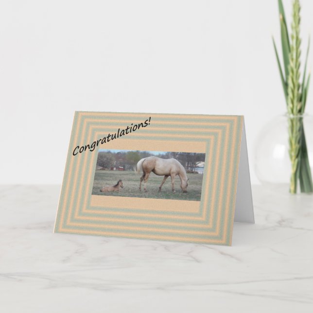 Cartão Nova chegada (Frente)