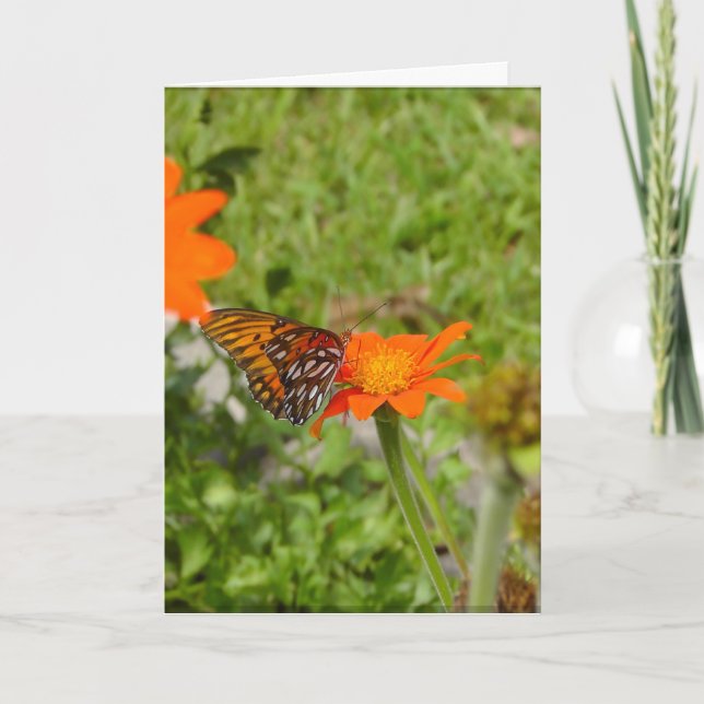 Cartão Nova placa de início (Frente)