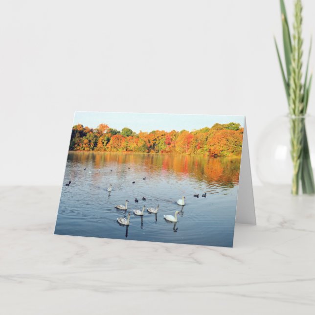 Cartão Nove cisnes (Frente)