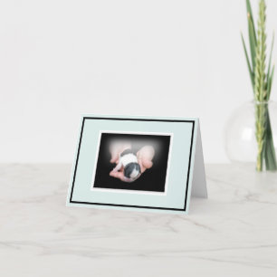 Cartão Novo cachorrinho