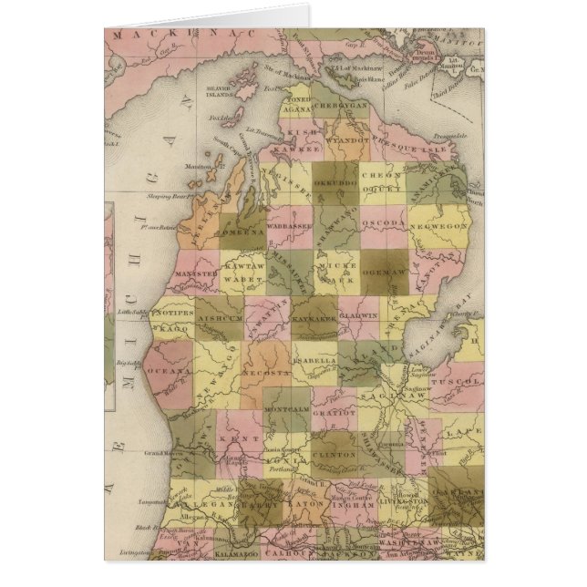 Cartão Novo Mapa De Michigan (Frente)
