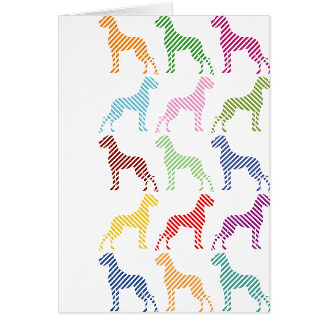 Cartão Novo padrão de dano (Frente)