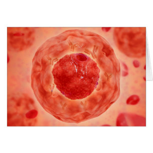 Cartão Núcleo Celular Com Cromossoma 2