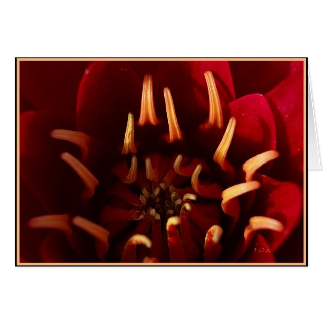 Cartão núcleo escarlate (Frente Horizontal)