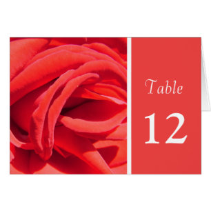 Cartão número da mesa de janto de flor rosa vermelha ador