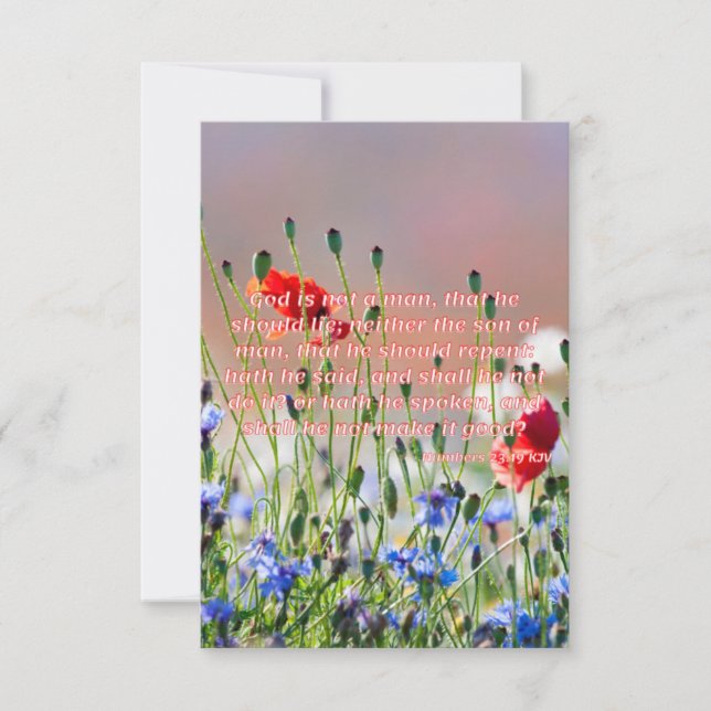 Cartão Números 23:19 Bíblia KJV Verse Pic Saudação Plana (Frente)