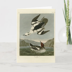 Cartão Nun Branca ou Smew, das Aves da América de Audubon