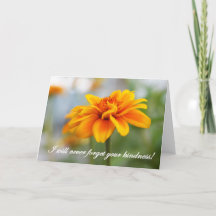 Nunca Esquecerei Sua Bondade