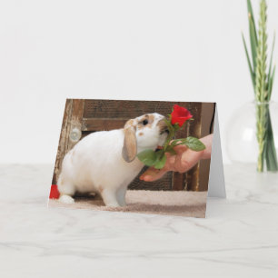 Cartão Nunca Perdido